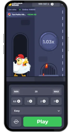 Chicken ready to start the round