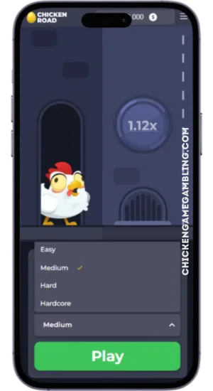 Chicken Road difficulty and stake settings